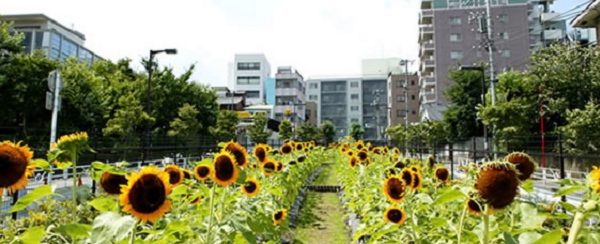 ひまわりガーデン代官山坂プロジェクト | URBAN RESORT GROUP